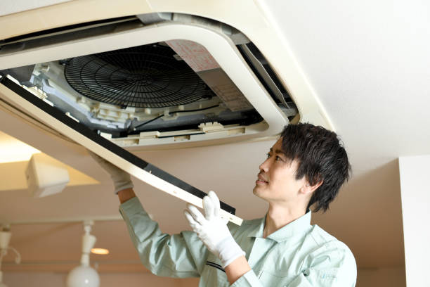 Best Affordable Duct Cleaning Services  in Quinlan, TX